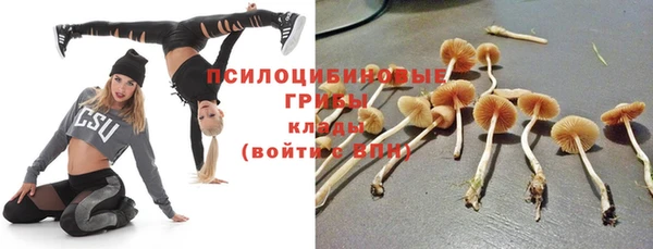 спиды Бронницы