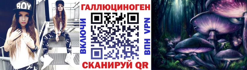 Купить закладки  Власиха  Галлюциногенные грибы Psilocybe 